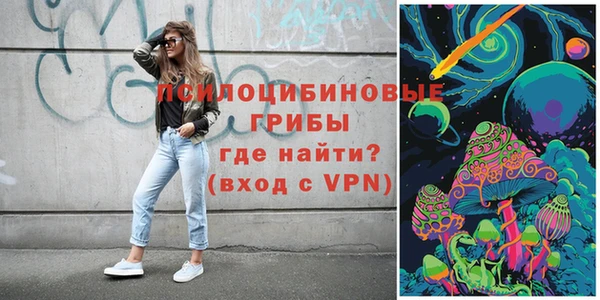 дмт Кукмор