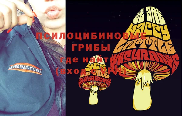 тгк Кулебаки
