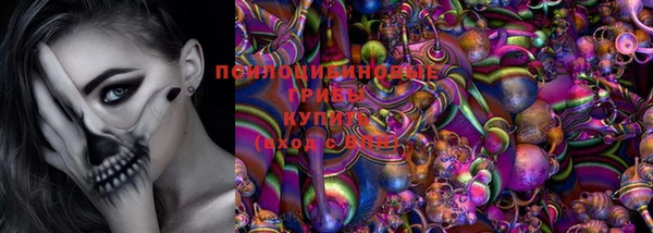 тгк Кулебаки
