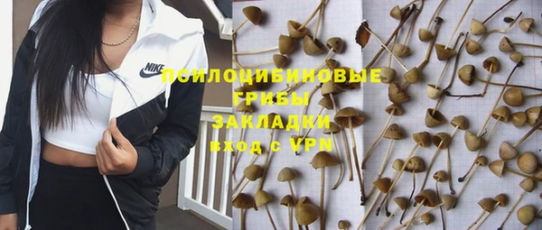 дмт Кукмор
