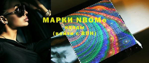 шишки Куйбышев