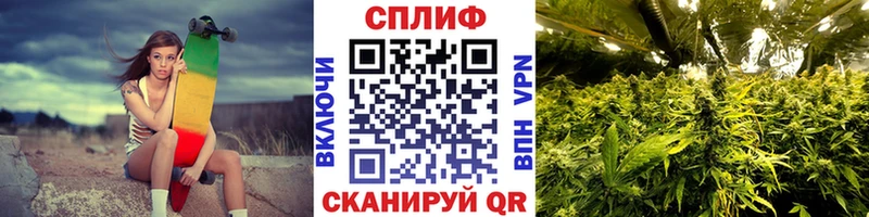Шишки марихуана сатива  Купить  Дальнегорск 